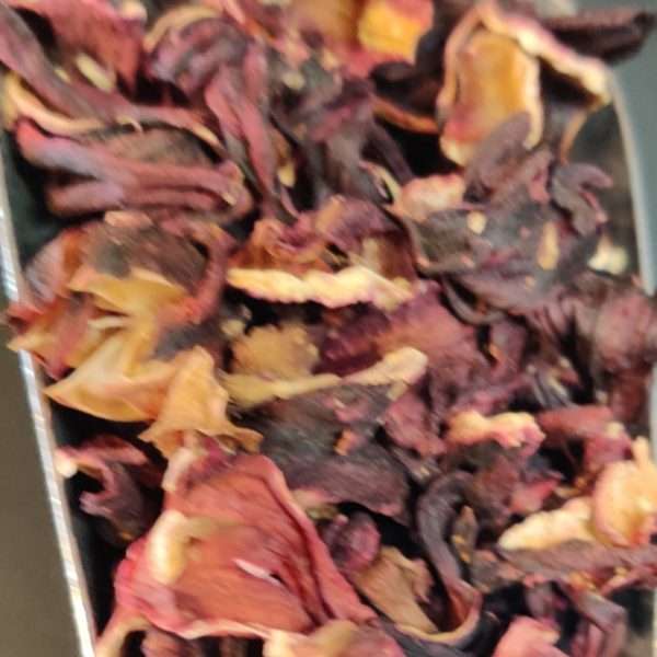 Hibiscus Flowers