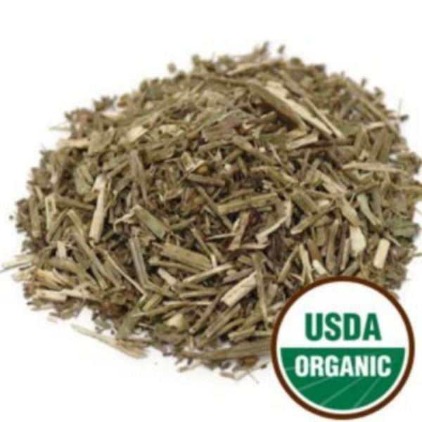 Vervain